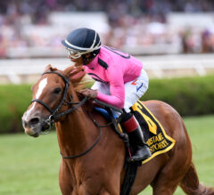 Woodbine Mile Preview: Got Stormy Takes on Males Again
