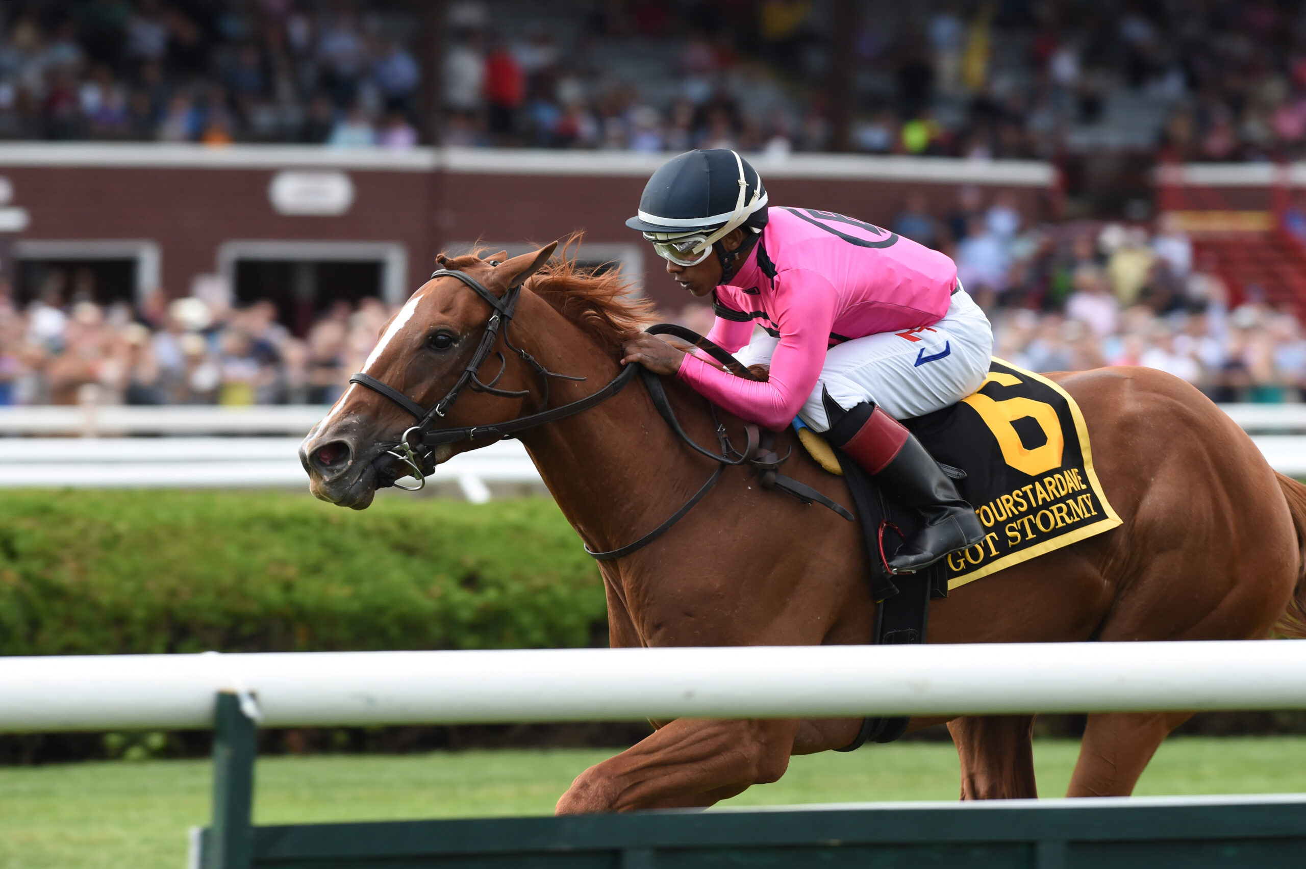 Entries At Saratoga Today 00 - csj3icc