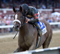 Green Light Go Blasts Off In Saratoga Special