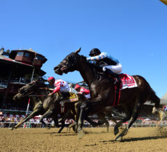 Somo Bombs: Del Mar and Saratoga Picks for August 28, 2019