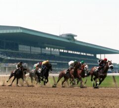 NYRA announces race dates and stakes schedule for 2020 Belmont Park fall meet