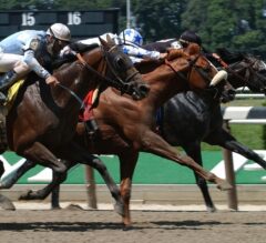 Horse Racing BEST BET: June 25, 2023 | Belmont Park