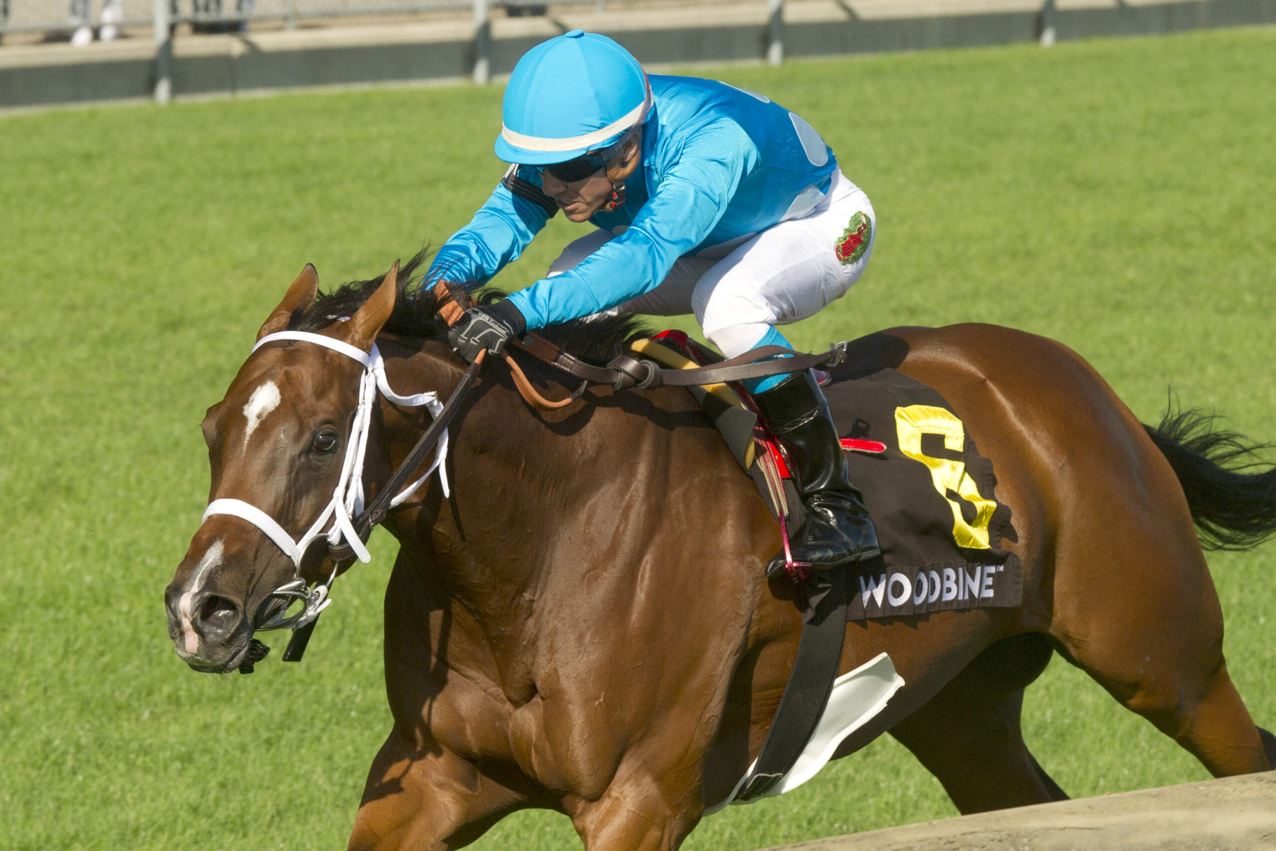 Gulfstream Picks Racing Dudes - qhlc2bi