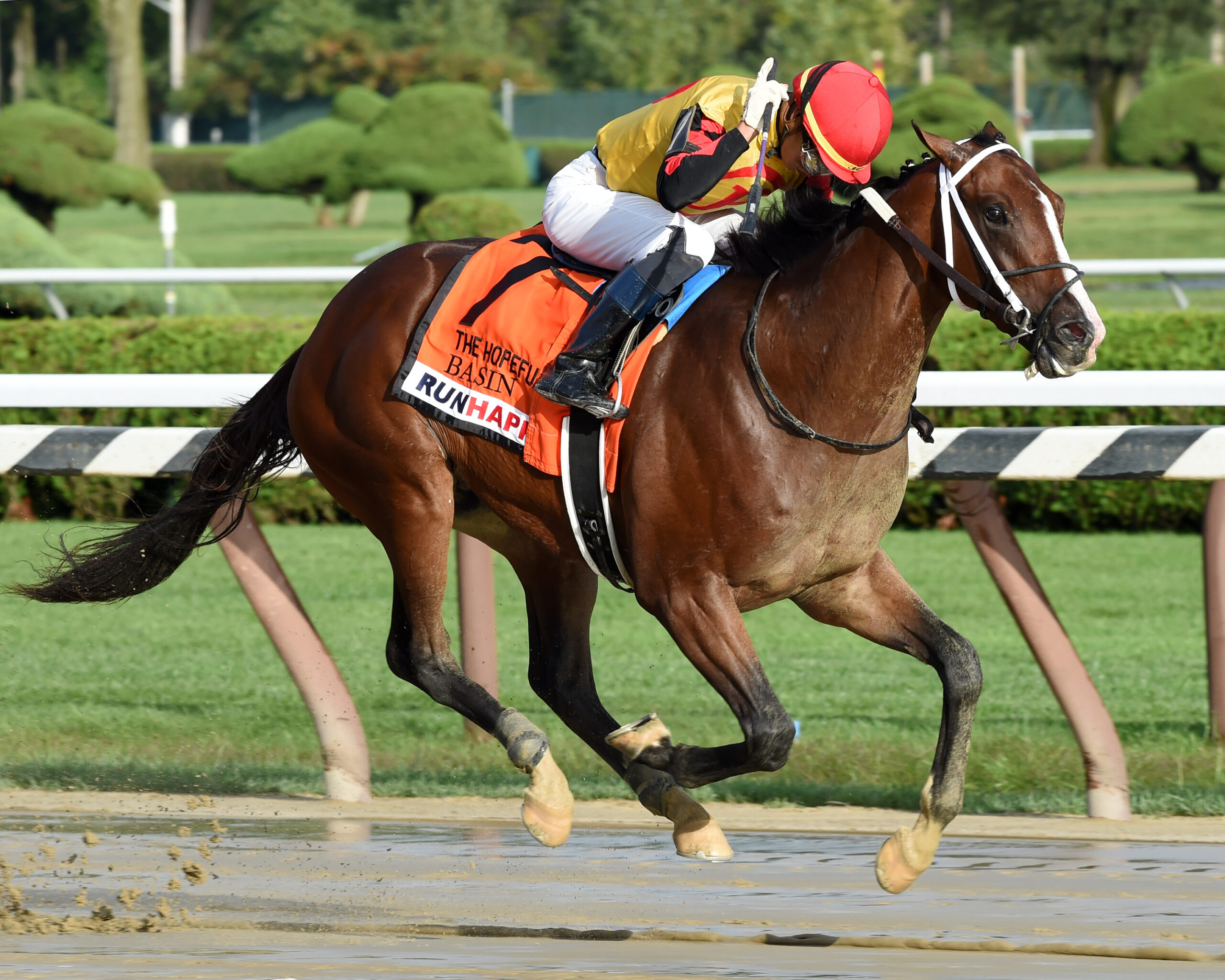 Kentucky Derby Contenders Pedigree Analysis Basin