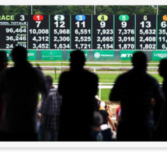 Best apps for betting on horse racing