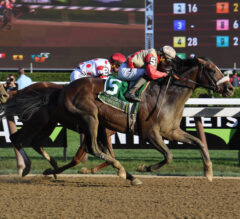 Preservationist Presses Through in Woodward