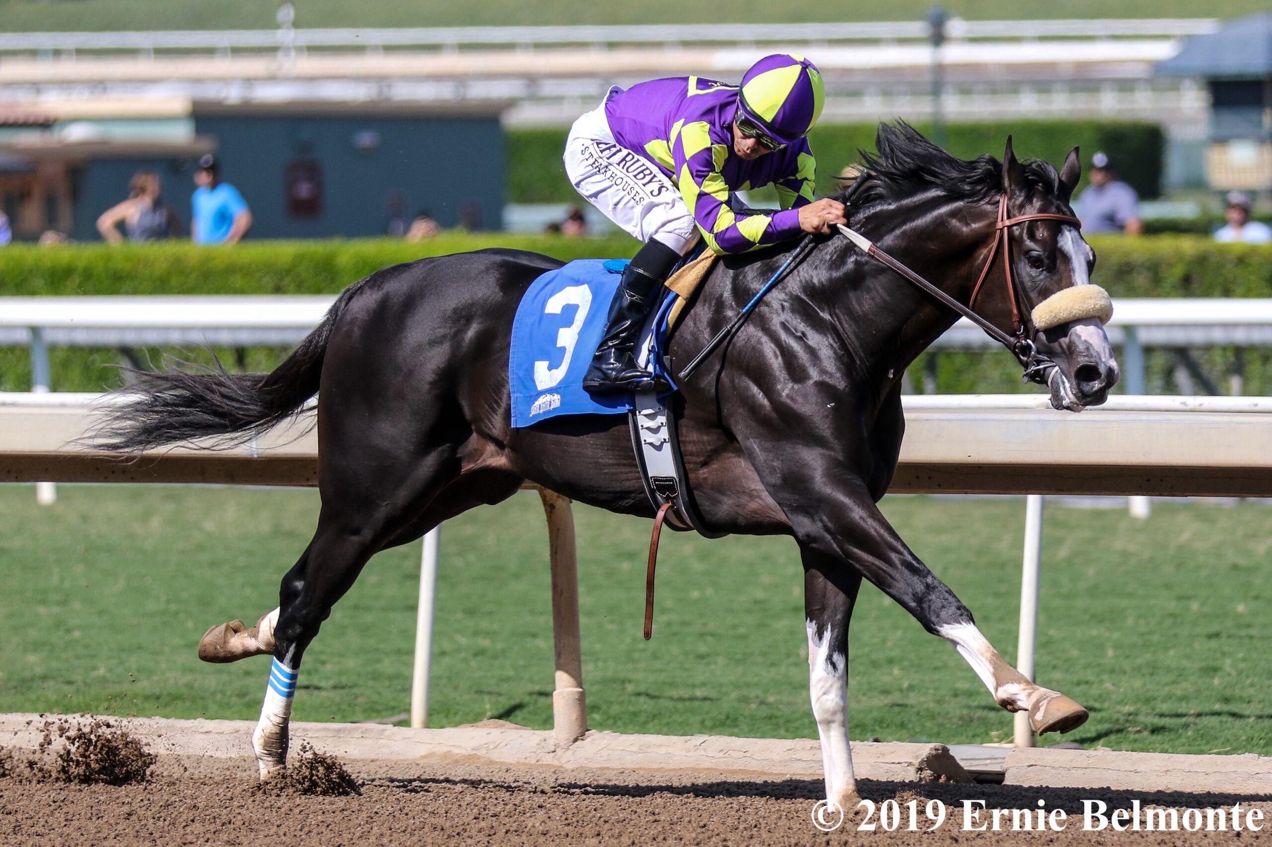 Kentucky Derby Contenders Pedigree Analysis Honor A. P.