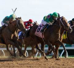 How Will Online Sports Betting Impact the US Racing Industry?