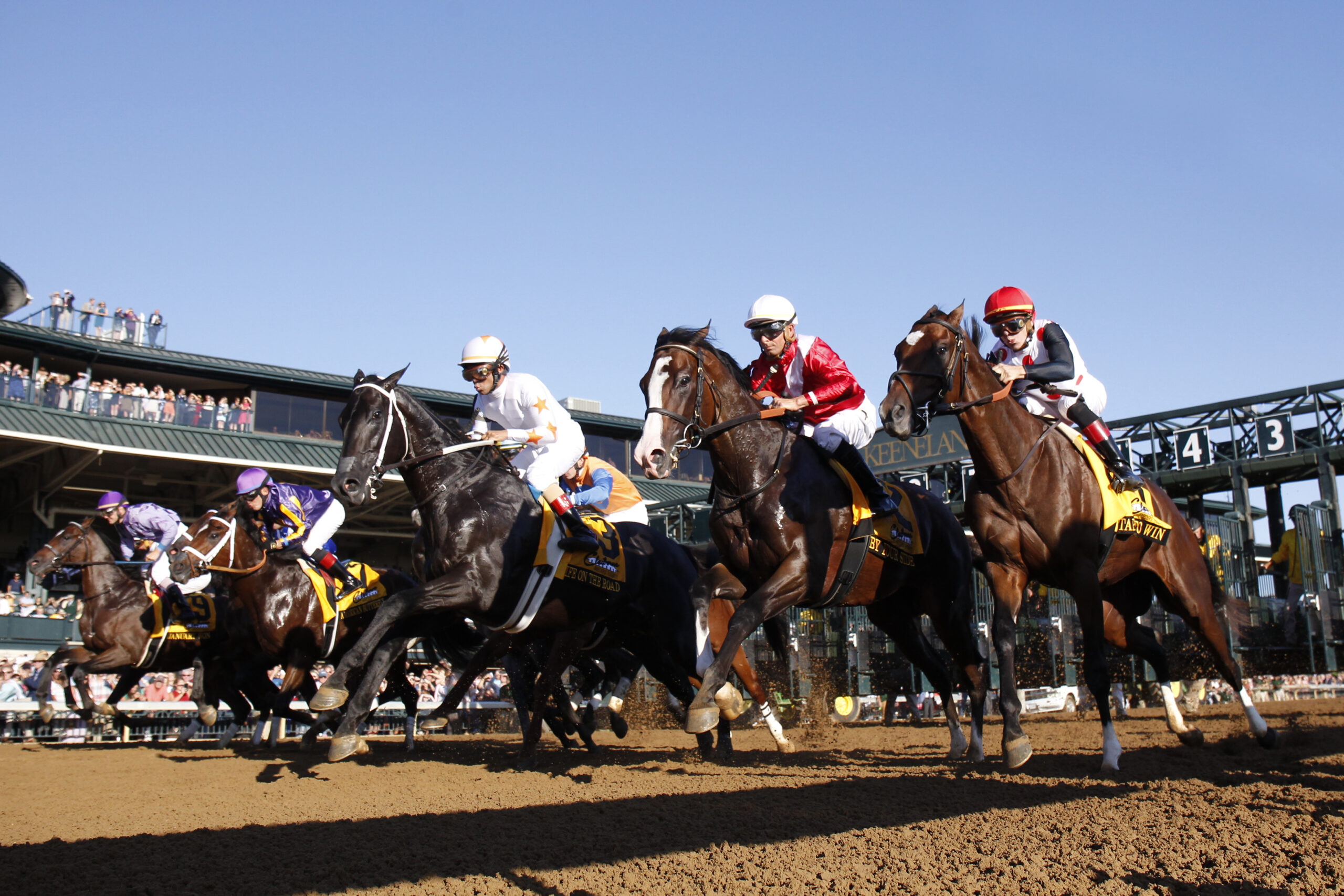 Keeneland Battaglia Picks - ucygcsj