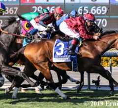 True Valour Up in Time in City of Hope Mile