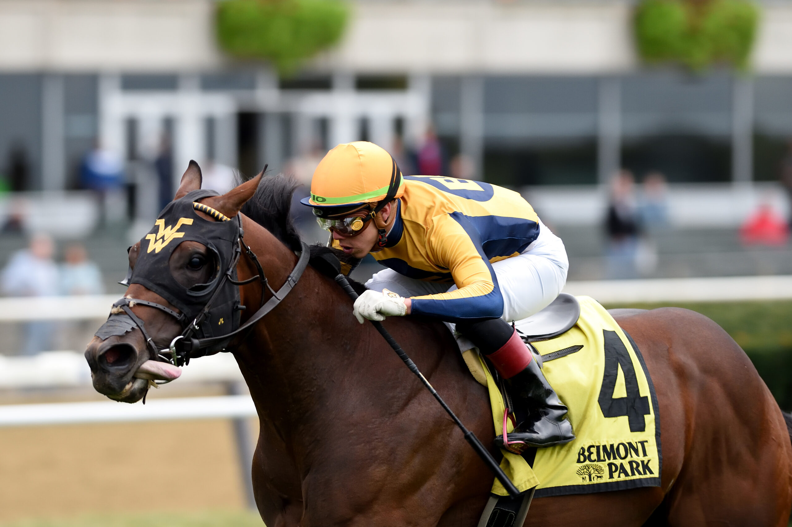 Four Wheel Drive Too Strong in Futurity