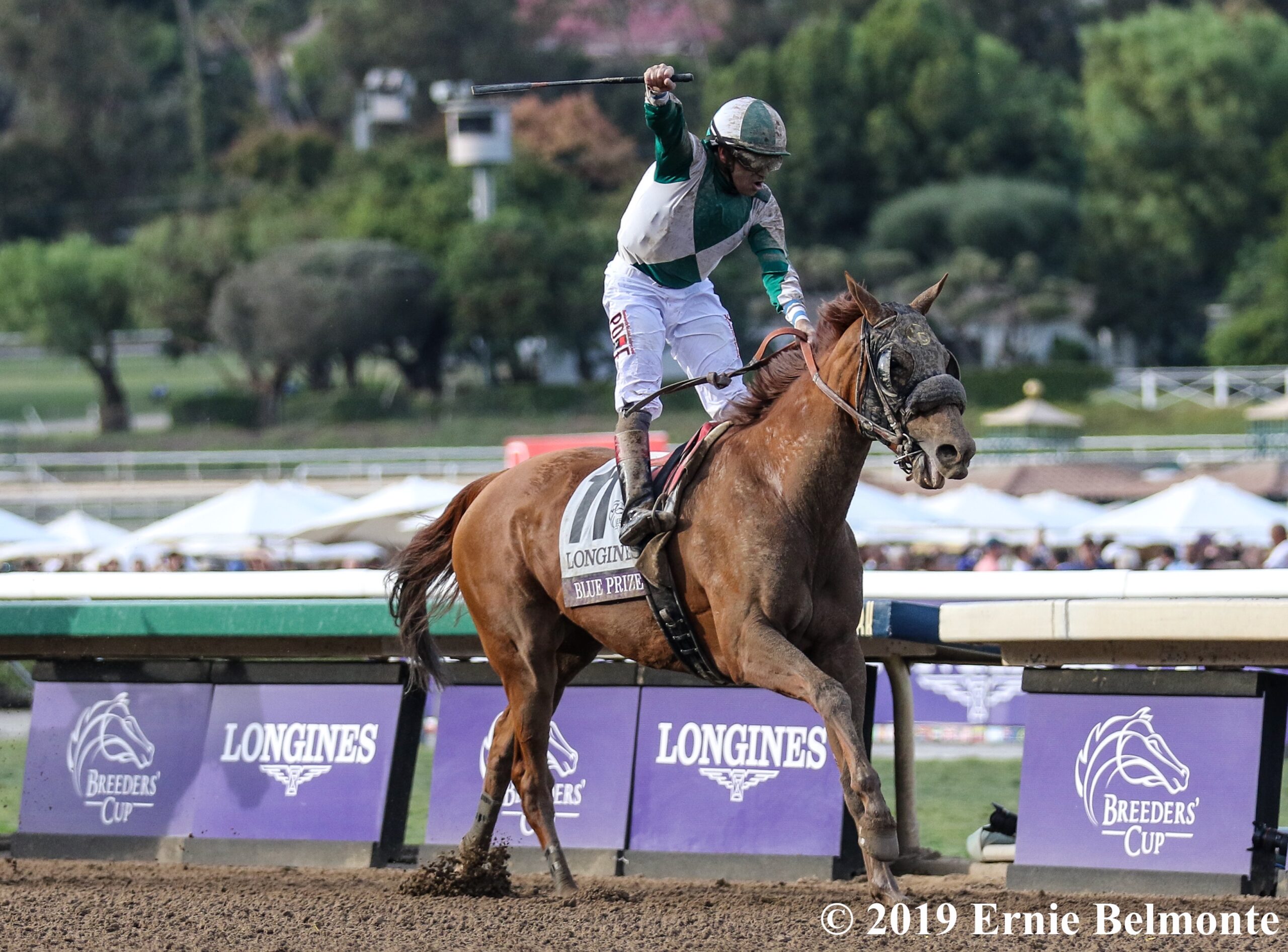 Blue Prize Champions Distaff