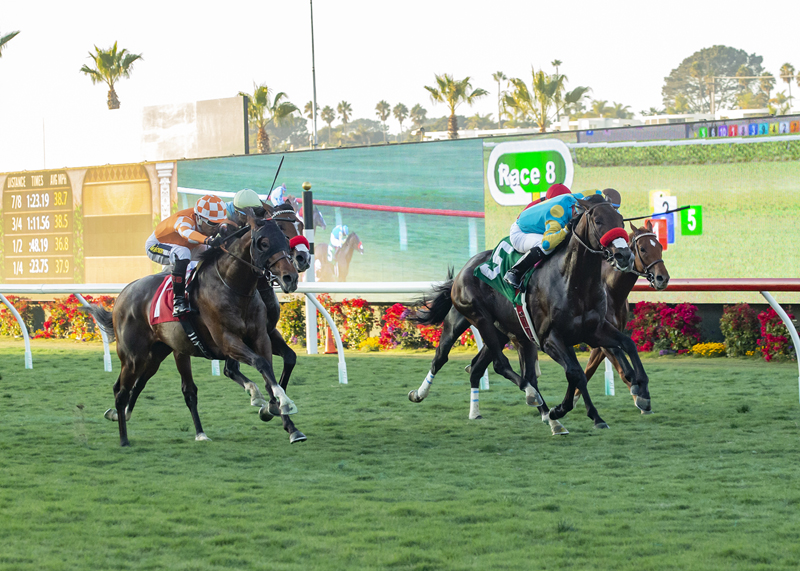 Somo Bombs Del Mar Picks for November 10, 2019