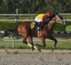 Bodexpress Shatters Gulfstream Park West Track Record