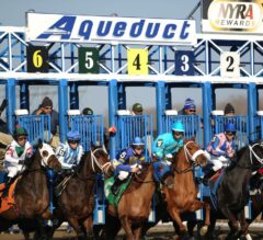 NYRA Preview: Busher Invitational Stakes