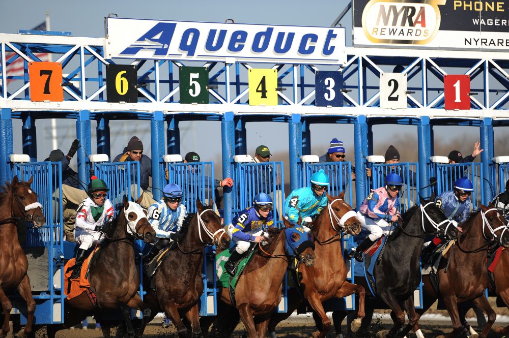 NYRA Preview Aqueduct 2/6 Racing Dudes