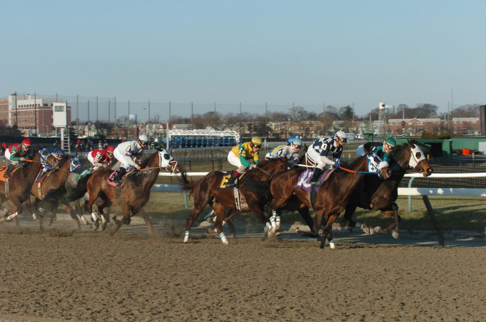 NYRA Preview Aqueduct 2/6 Racing Dudes