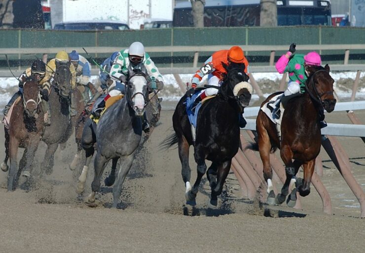 NYRA Preview Aqueduct 1/18 Racing Dudes