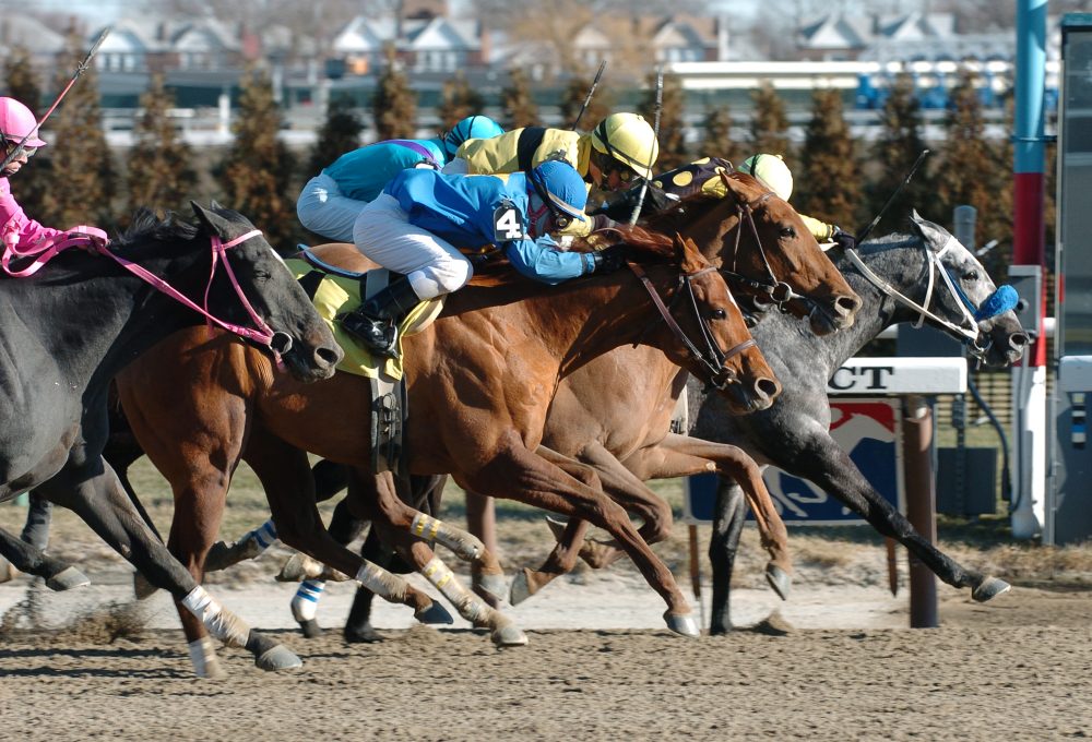 NYRA Preview Aqueduct 2/22 Racing Dudes