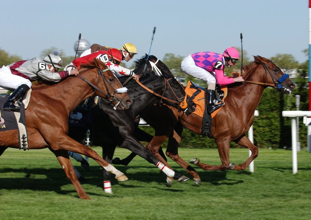 NYRA Preview Aqueduct 11/27 Racing Dudes