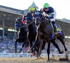 Champion Storm the Court Tops 347 Early Triple Crown Nominees