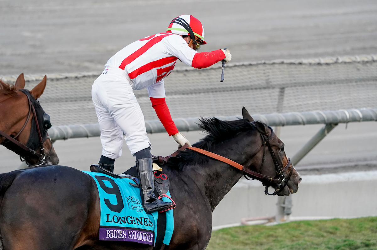 Racing Dudes Divisional Rankings 11/6/19: Breeders' Cup Fallout