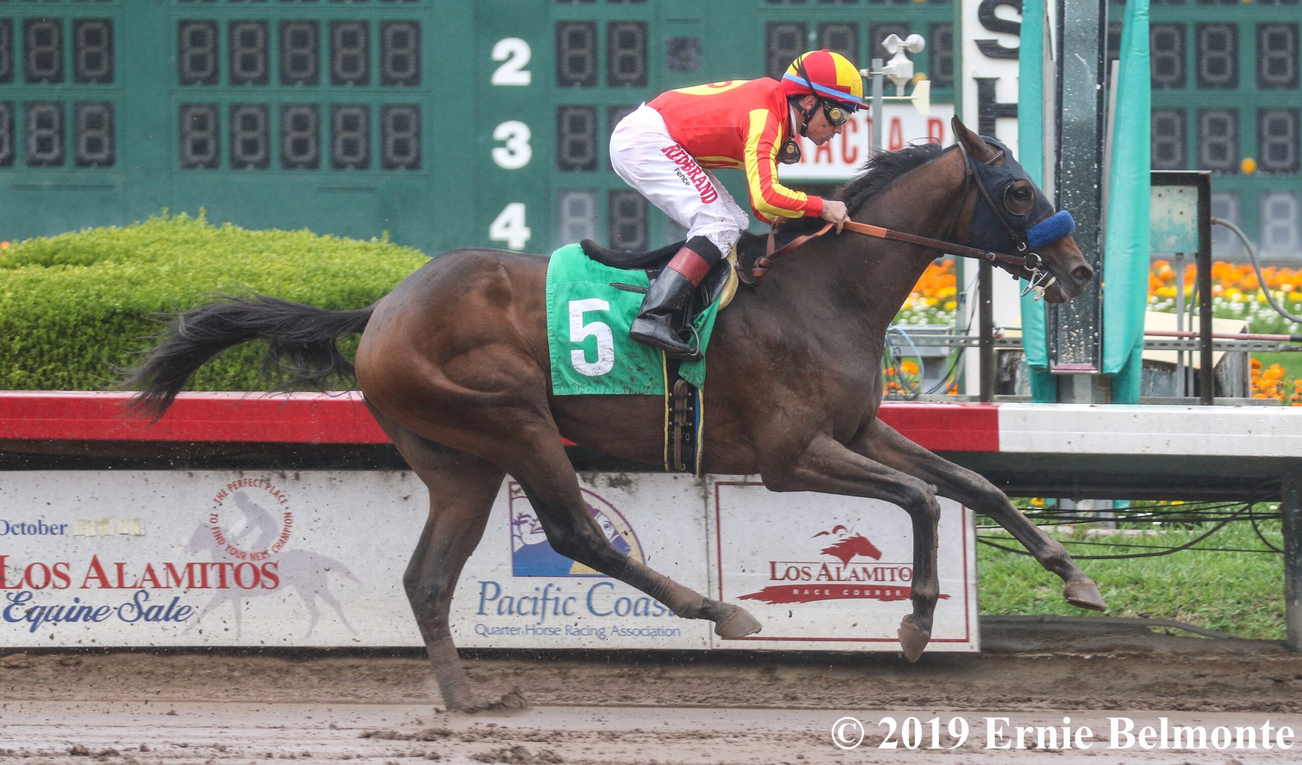 Sham Stakes Preview Taishan Takes on Baffert Duo