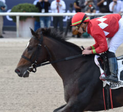 Mexico’s Triple Crown Champ Kukulkan Dominant in Copa Confraternidad