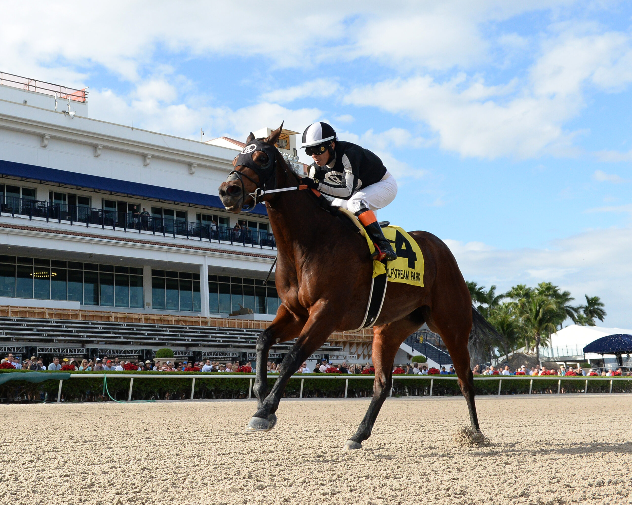 Gulfstream Picks Racing Dudes - wnctr9l