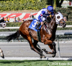 Stealthediamonds Swipes Sunshine Millions Filly and Mare Turf Sprint