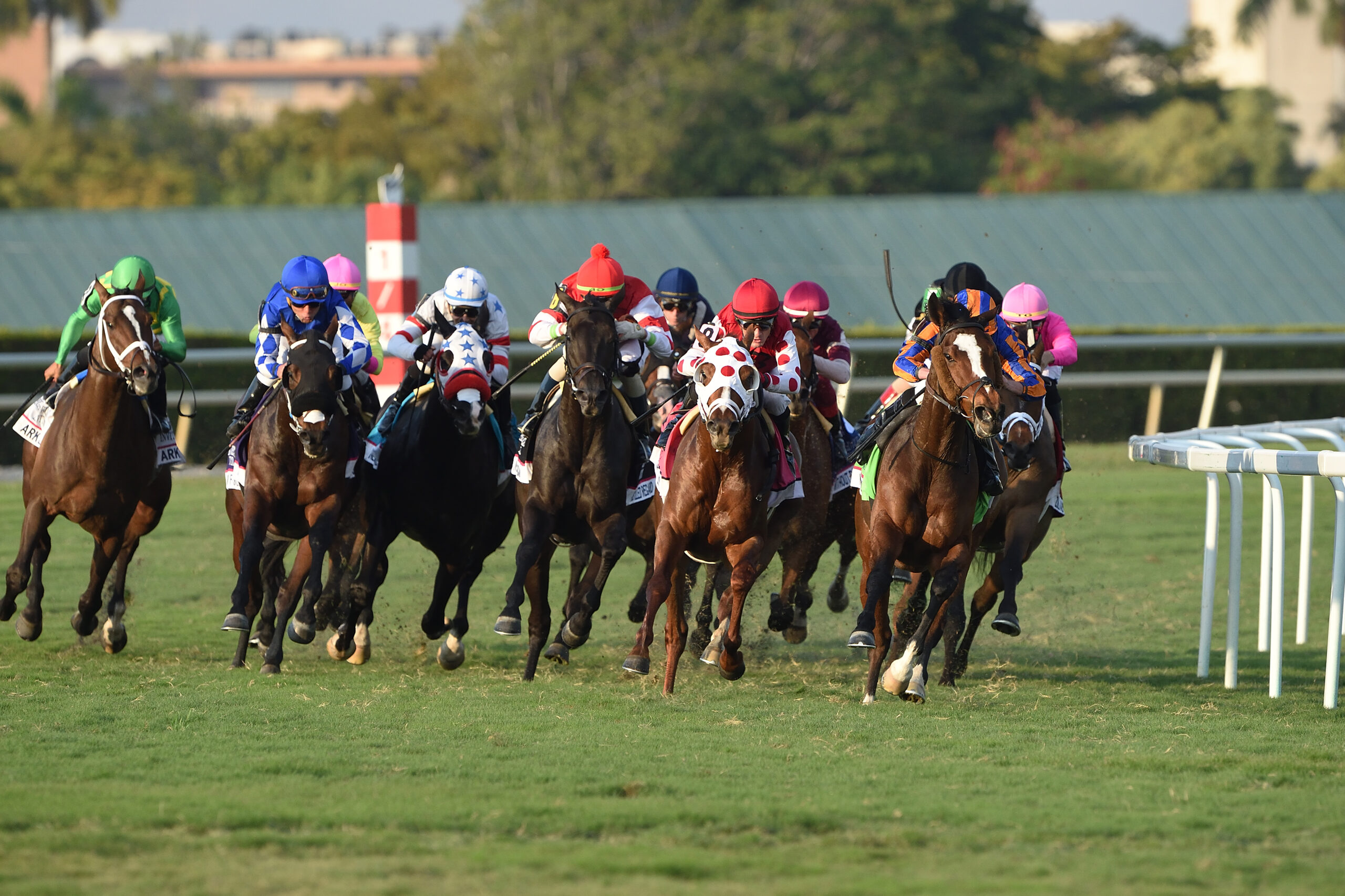 Gulfstream Picks Racing Dudes - dao7l8t