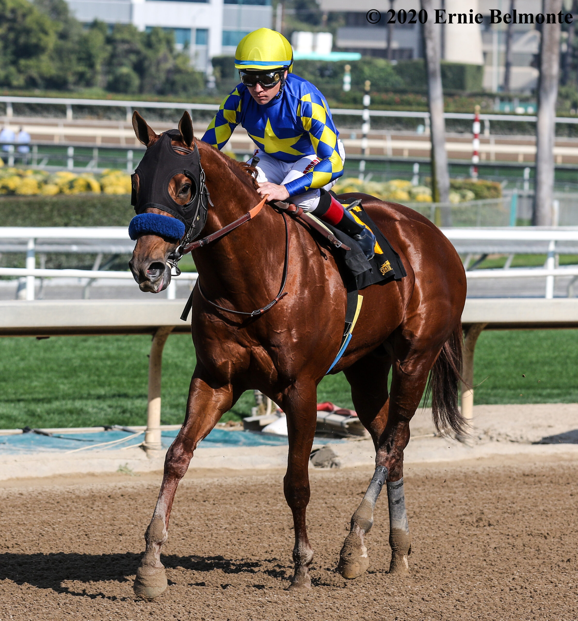 racing dudes picks today