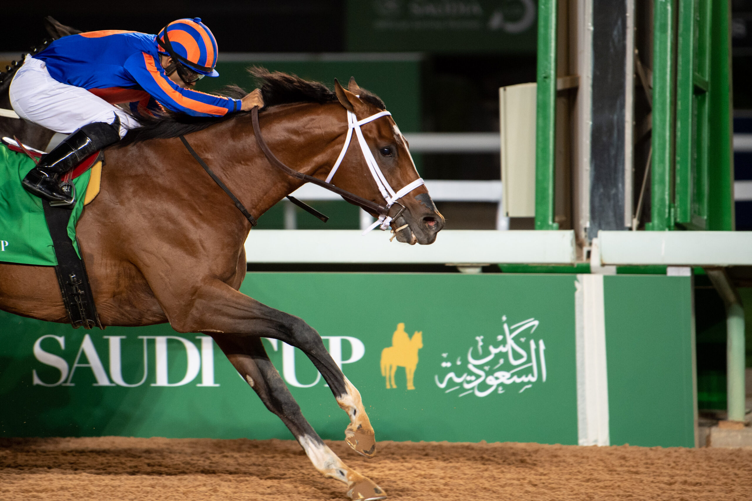 Maximum Security Reaches Global Acclaim in Saudi Cup