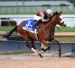 Florida Derby Preview: Loaded Field Takes Aim at Grade 1 Glory