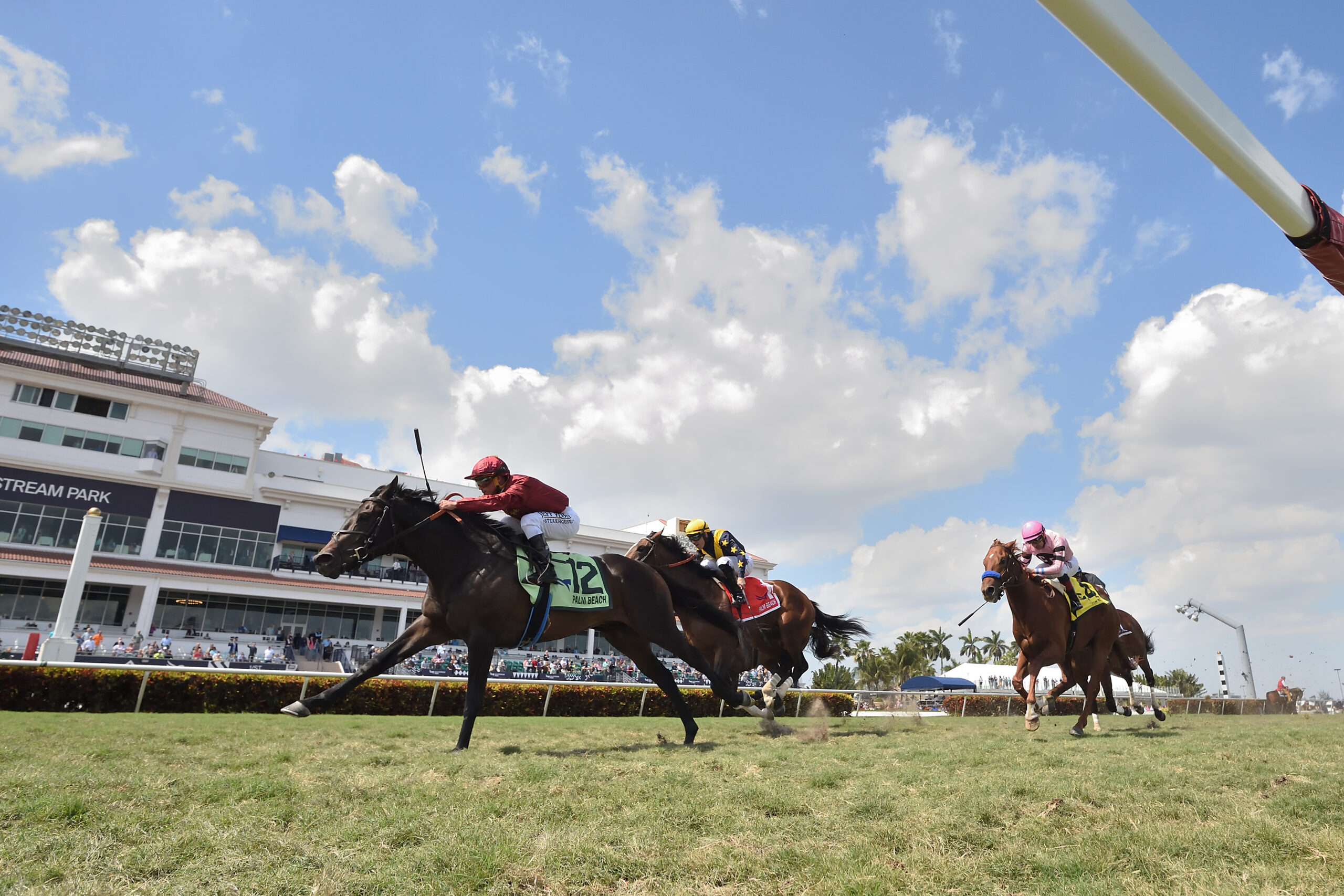 Gulfstream Picks Racing Dudes - tvsv01u