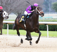 Cox Runners Top Oaklawn Park’s Sunday Workers