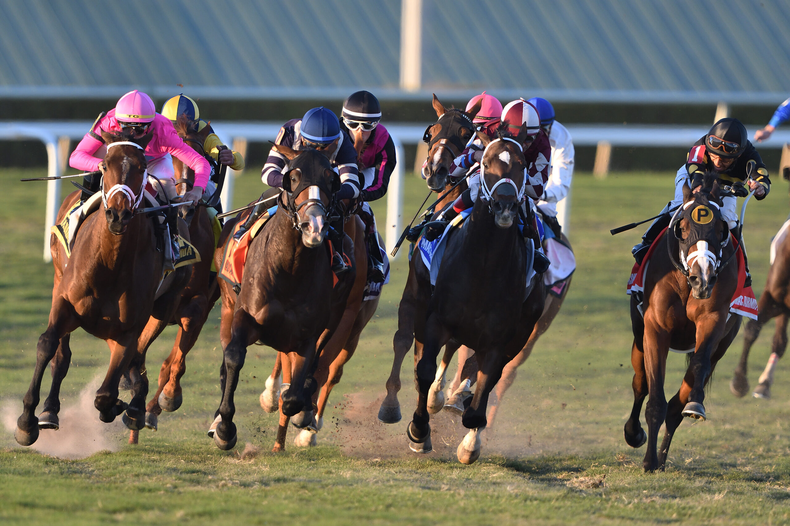 Gulfstream Picks Racing Dudes - zy2fdgm