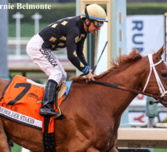 Ce Ce Sees Her Way Past Hard Not To Love In  Beholder Mile