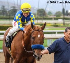 Racing Dudes Kentucky Derby Rankings 3/18/20: Charlatan Takes Over Top Spot
