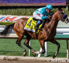 Kentucky Derby Contenders Pedigree Analysis: Authentic