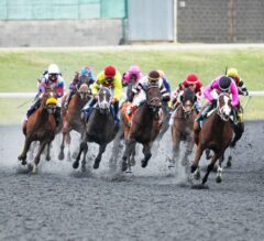 2022 Cincinnati Trophy Stakes Preview, FREE Picks, And Longshots | Marissa’s Lady Vulnerable Stretching Out?