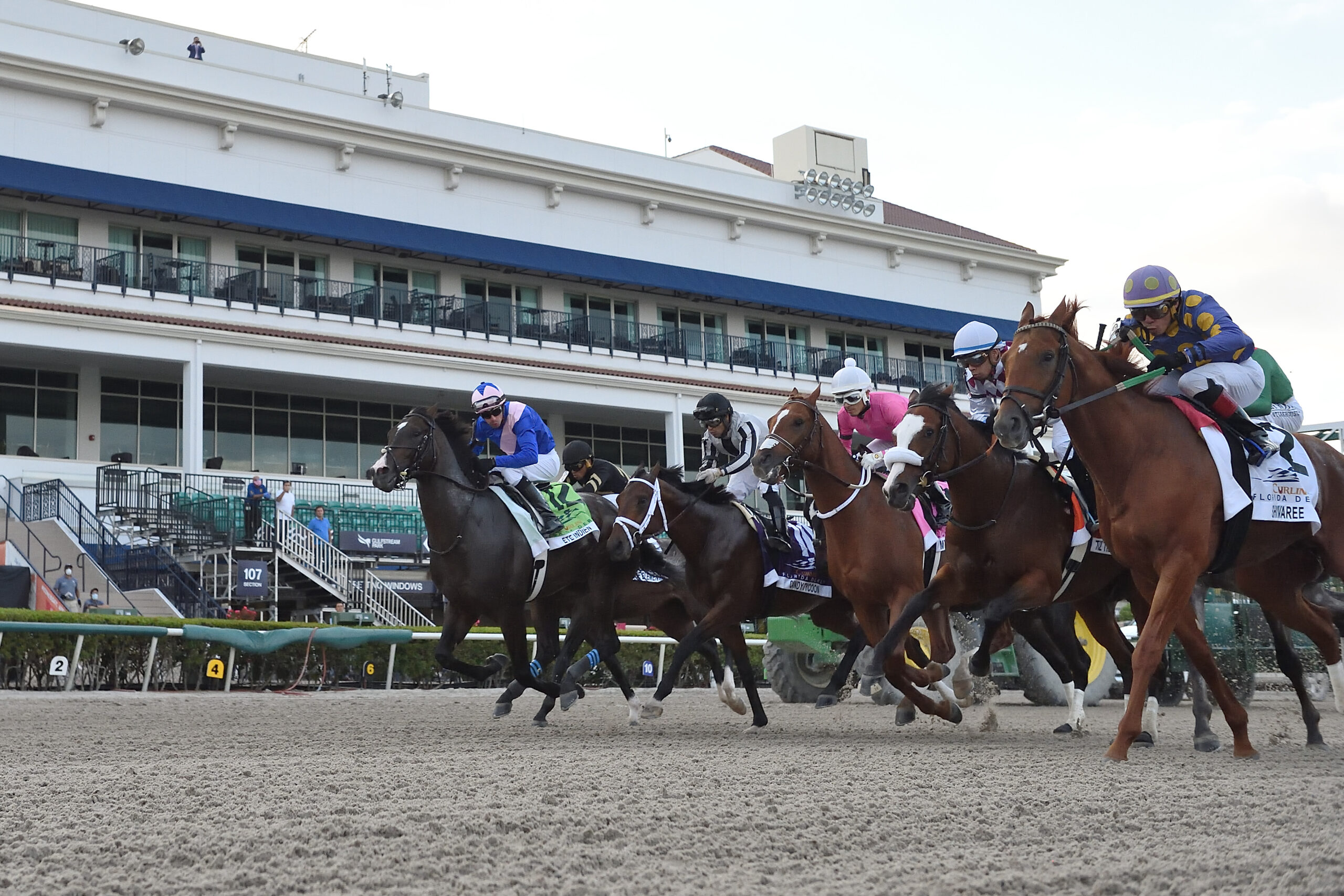 Gulfstream Picks Racing Dudes - m1gz1wq