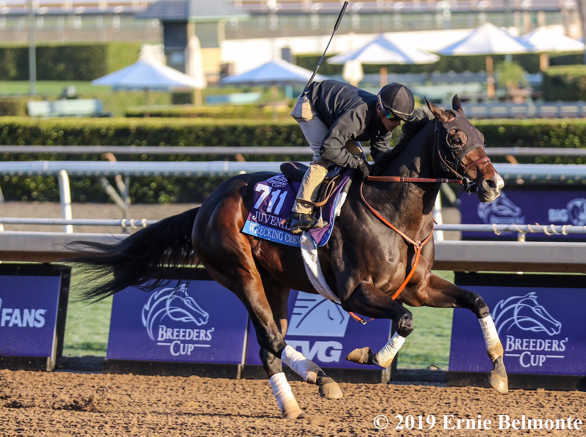 Arkansas Derby Contender Spotlight Wrecking Crew