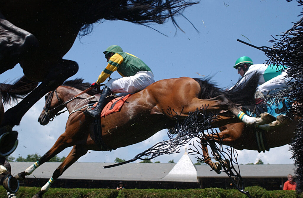 Flat Racing vs Jump Racing: Which is the Best?