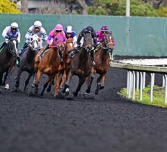 Golden Gate Announces Opening Day Mandatory Pick 6 Payout