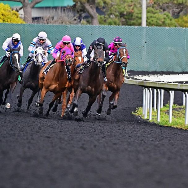 Golden Gate Announces Opening Day Mandatory Pick 6 Payout
