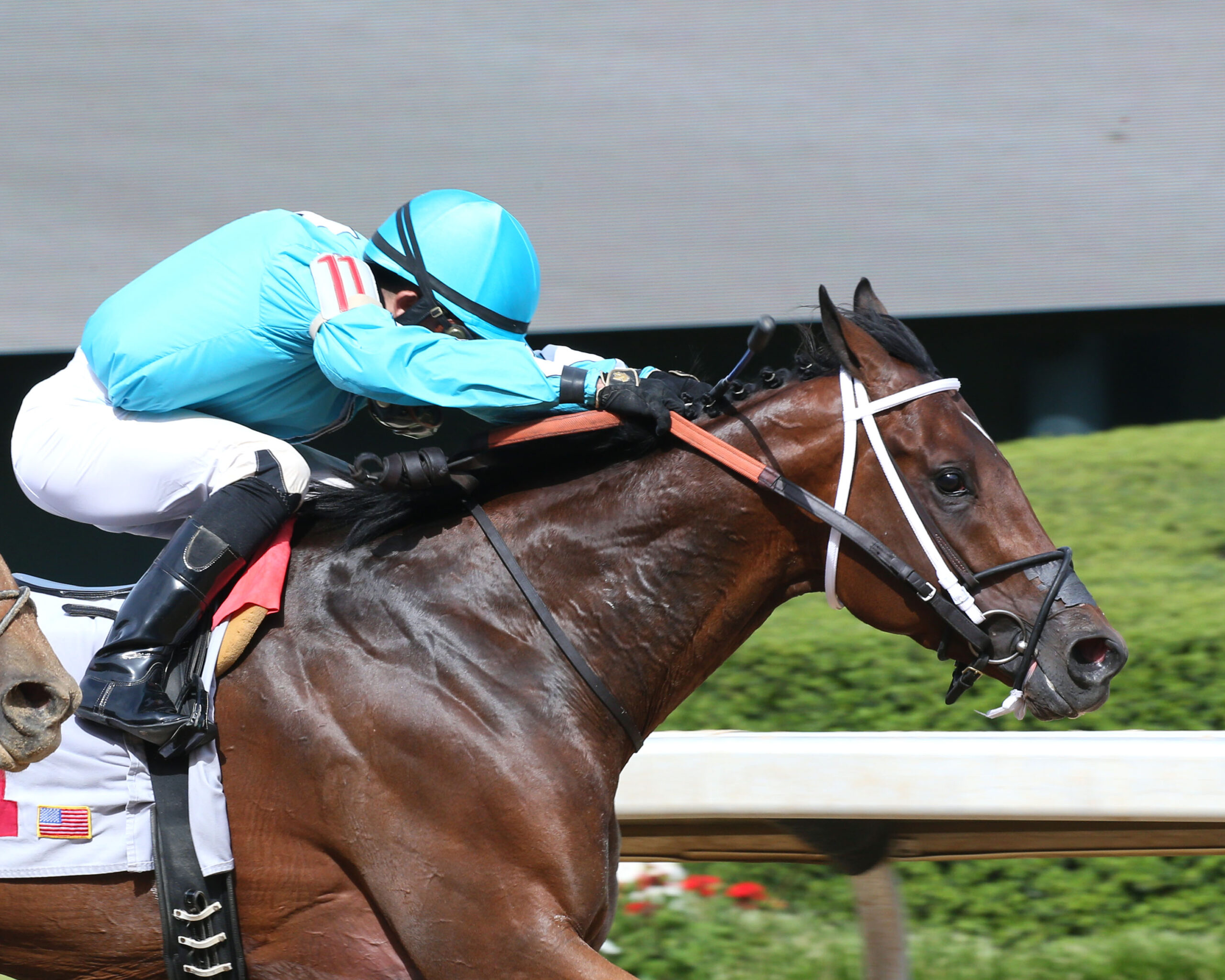 Oaklawn Park Picks - rrw2eja