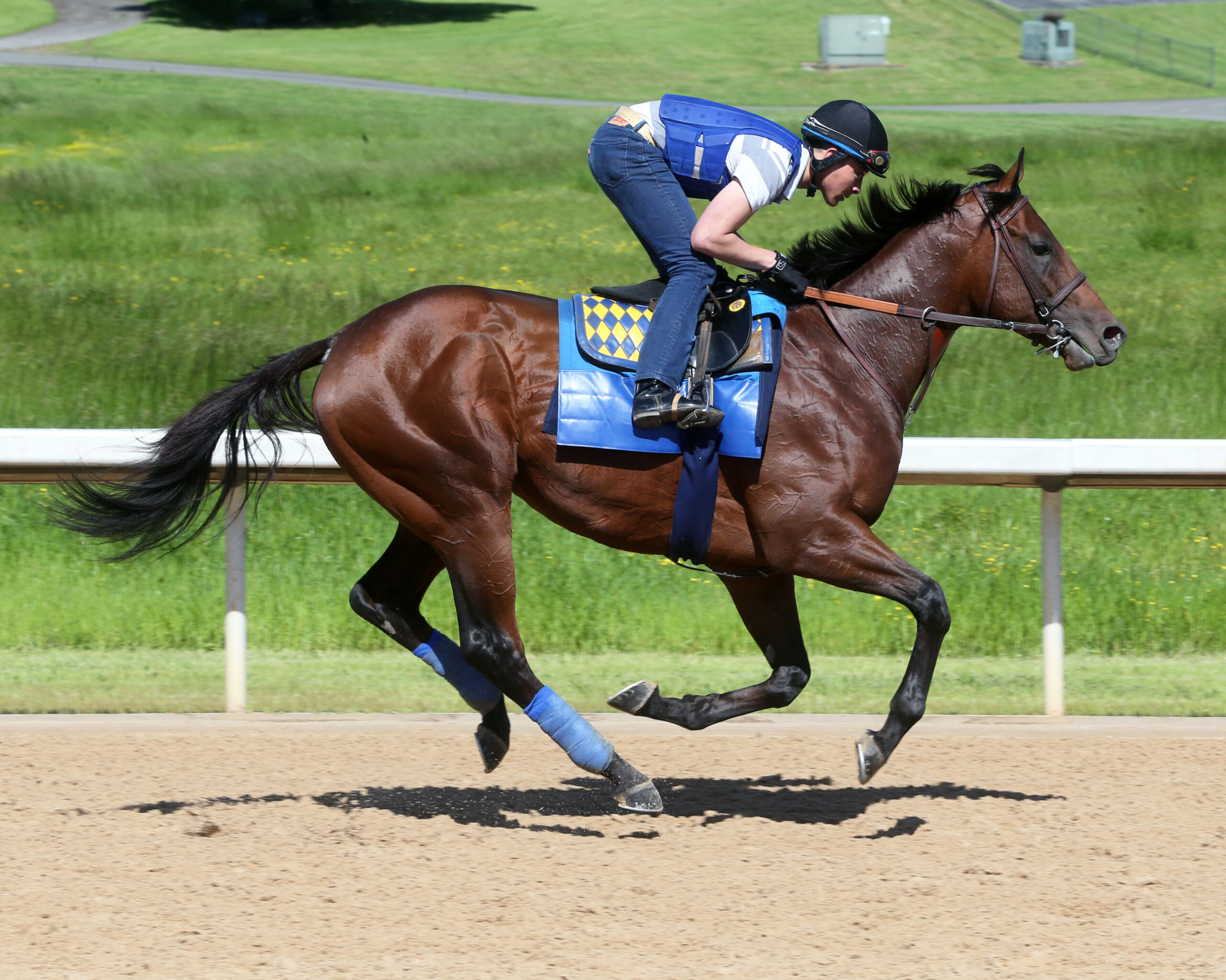 Racing Dudes Kentucky Derby Rankings 5/14/20 Nadal Remains on Top