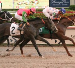 Gulfstream Park 5/7 Race 6 Preview: Octet of Florida-Bred Maidens Set to Sprint