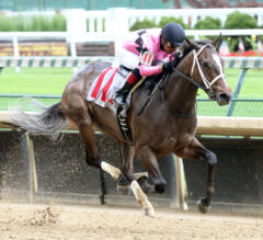 Iowa Oaks Preview: Ocean Breeze Wafts Up The Ladder